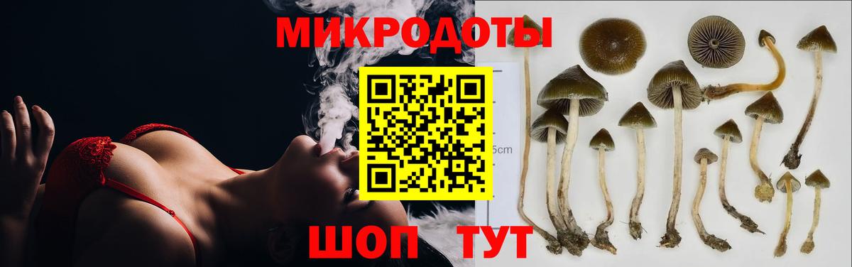 Краснознаменск  Галлюциногенные грибы мицелий  Вход с VPN  Псилоцибиновые грибы Psilocybe 